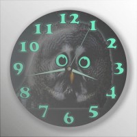 Siyah Koyu Zemin Gözleri ve Rakkamları Fosforlu Baykuşlu Bombe Camlı Sessiz Çalışan 35cm Duvar Saati